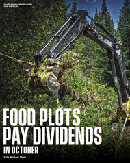 Food Plots Pay Dividends in October