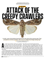Fall Armyworms: Attack of the Creepy Crawlers