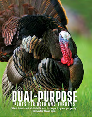 Dual-Purpose Plots for Deer and Turkeys