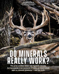 Do Minerals Really Work?