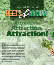 Imperial Whitetail Beets & Greens