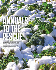 Annuals to the Rescue