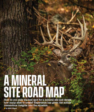 A Mineral Site Road Map