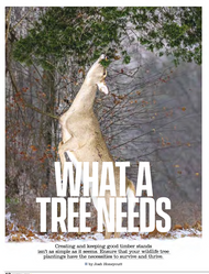 What a Tree Needs