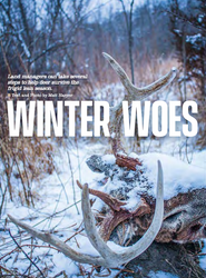 Winter Woes 