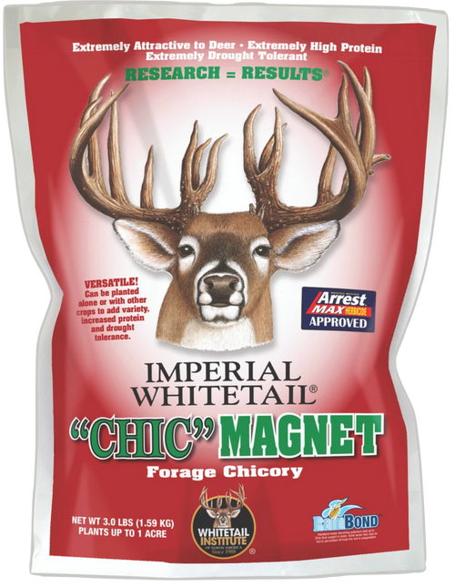 ChicMagnet 