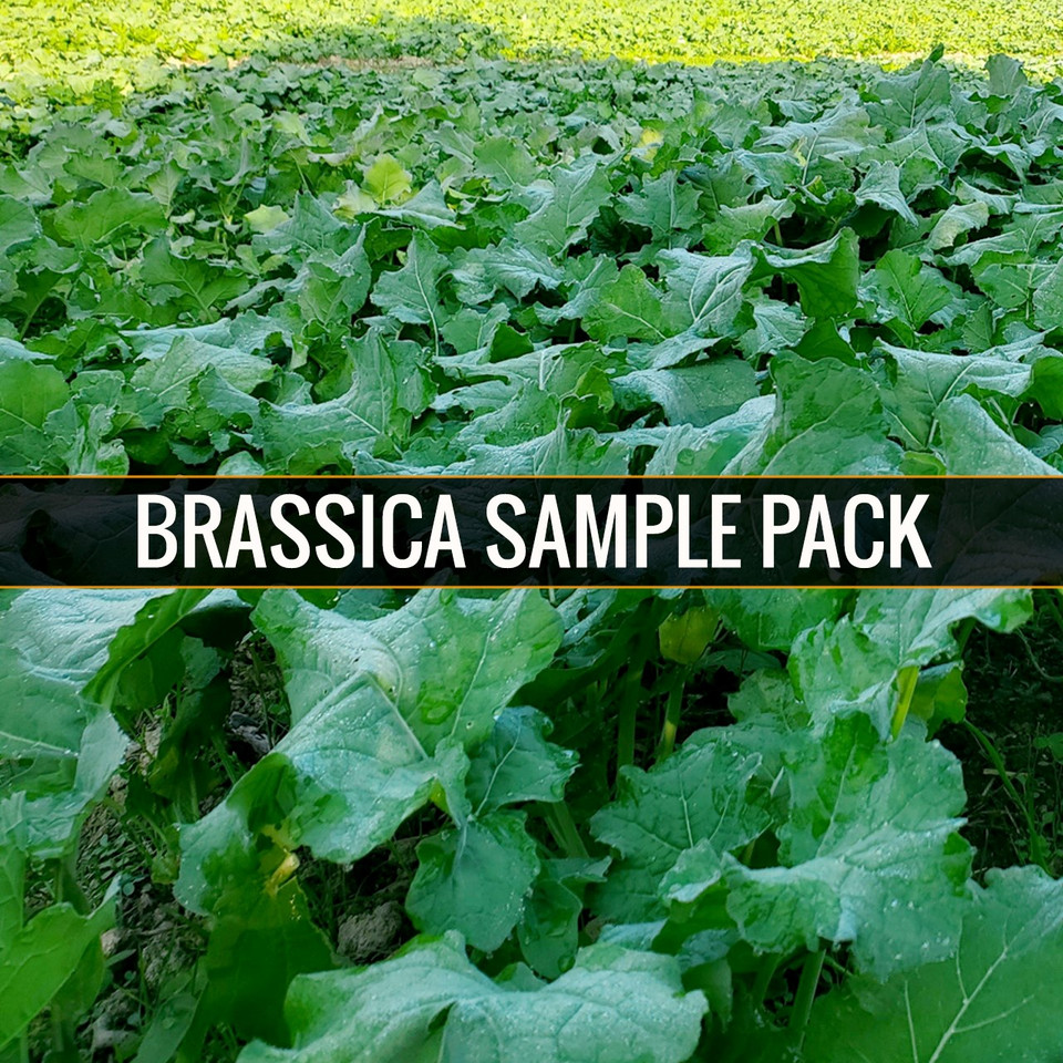 Whitetail Institute Brassica Pack Brassica Food Plot Seed Mix