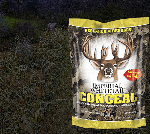 homepage-conceal-2021.jpg