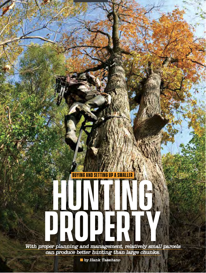 Buying and Setting Up a Smaller Hunting Property Whitetail Institute