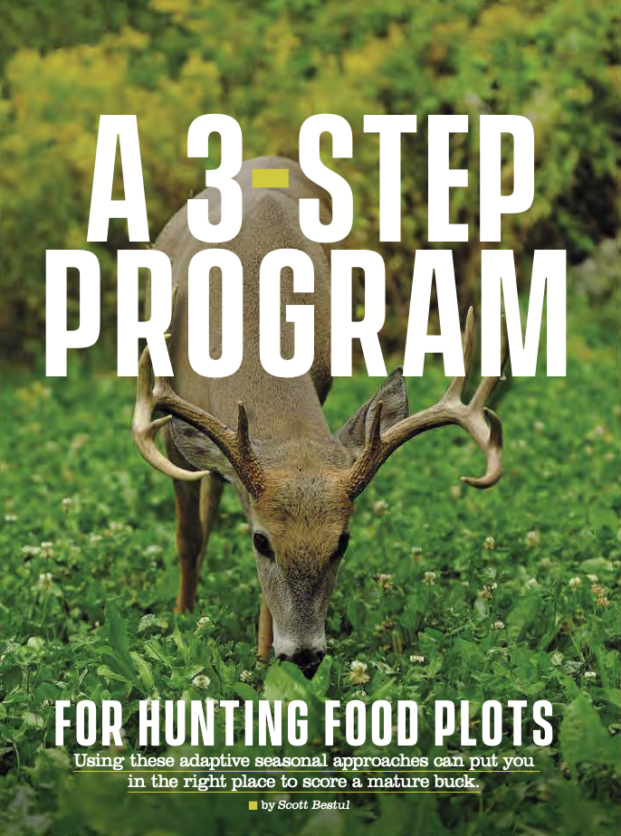 A 3Step Program for Hunting Food Plots Whitetail Institute