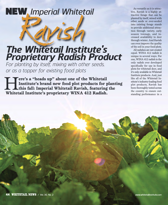 Whitetail Institute Ravish Radish 2 lbs - Premium Deer Attractant Seed