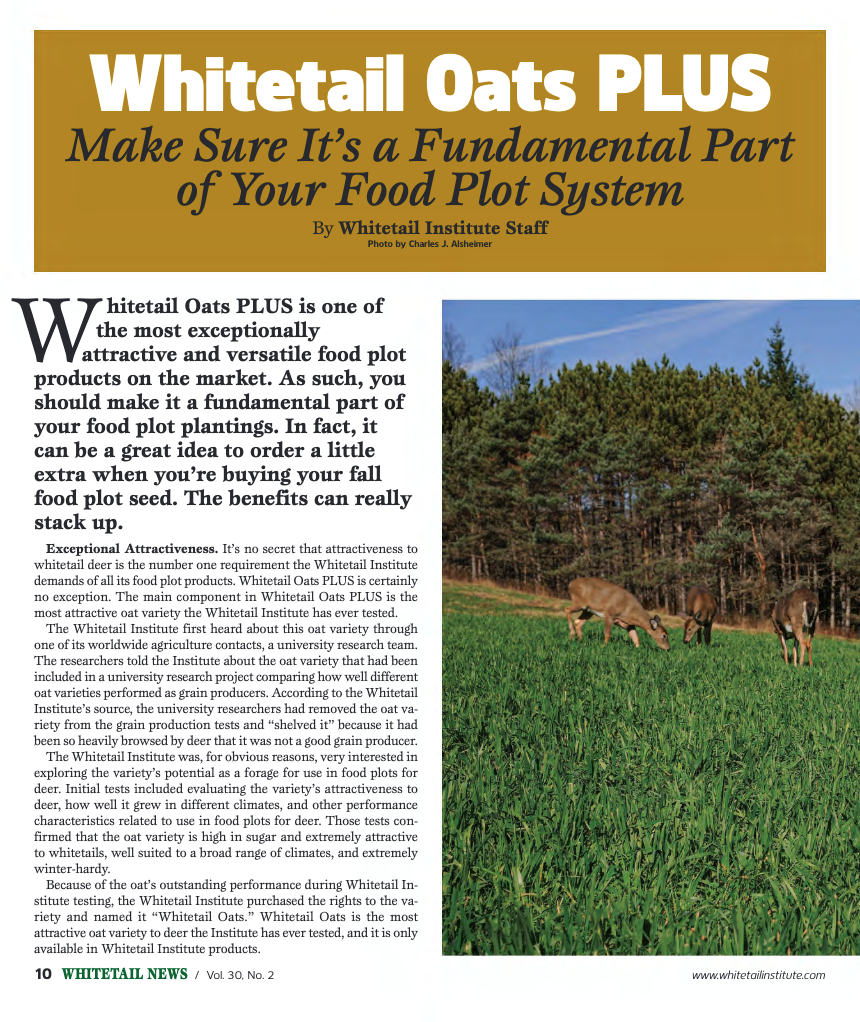 Whitetail Oats Plus Make Sure It's a Fundamental Part of Your Food Plot