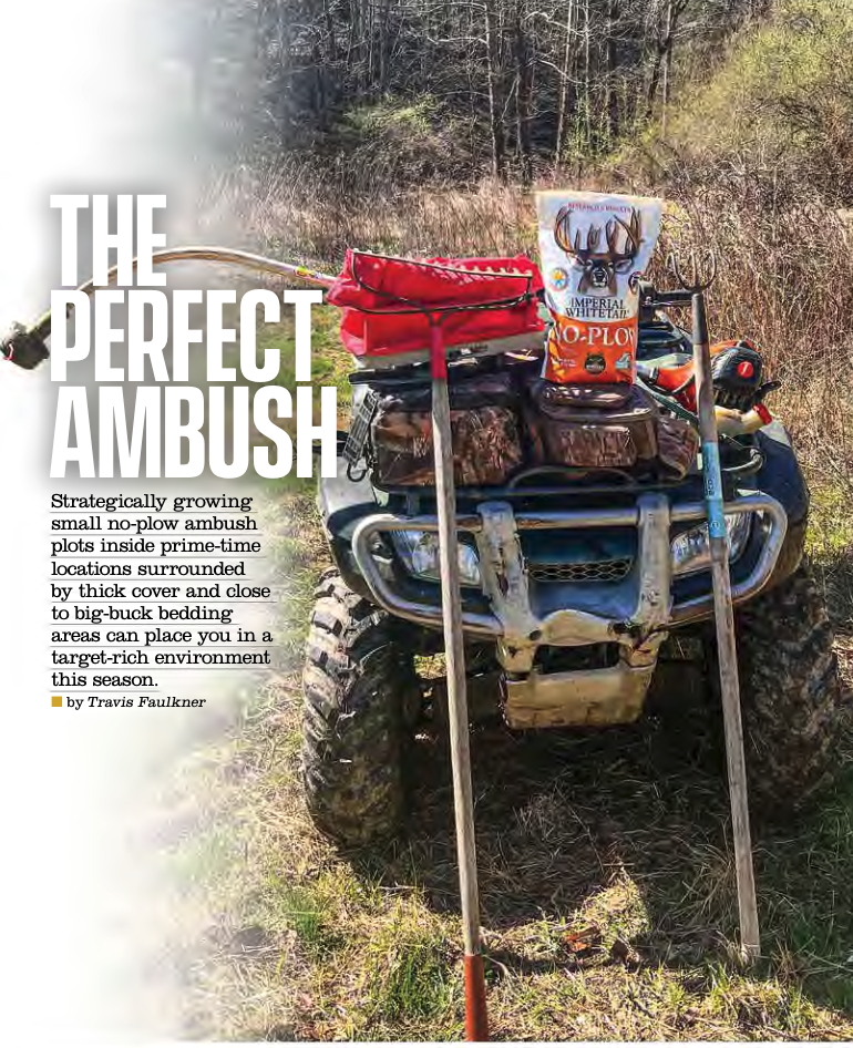The Perfect Ambush - Whitetail Institute