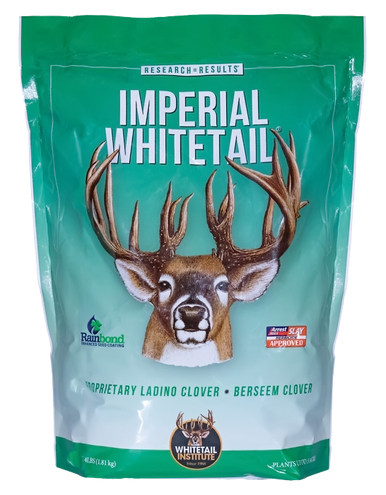 Best Clover for Whitetail Deer: Top Varieties to Attract Deer