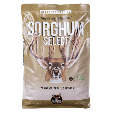 Sorghum Select