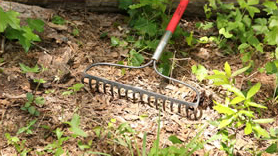 fpme img3 How to Plant the Best Food Plots with Minimal Equipment