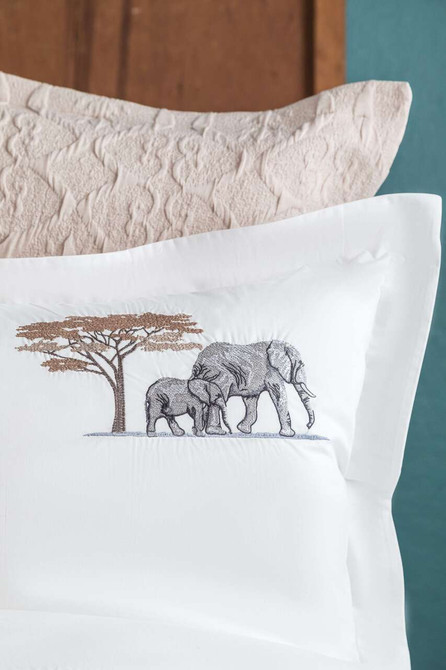 Aleph - Reverența Naturii