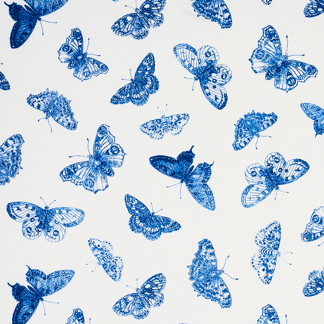 5011741  Burnell Butterfly, Blue - Schumacher Wallcovering