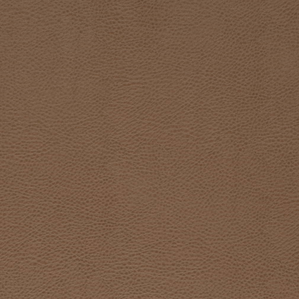 V869 Bronze by Charlotte Fabric - Fabric Carolina