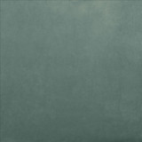 Savor Capri by Kasmir Fabric 5151 100% Polyester
 CHINA 100,000 Wyzenbeek Double Rubs Horizontal: N/A and Vertical: N/A 58 - Fabric Carolina -