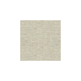 30299-106 by Kravet Basics Fabric PERFECT PLAINS POLYESTER - 63%;VISCOSE - 35%;POLYAMIDE - 2% China HEAVY Horizontal: 0 and Vertical: 0 55 - Fabric Carolina -