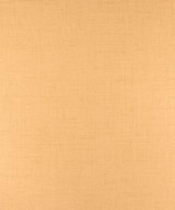 Lanyard Maize M9437 by Barrow Fabric 15CL08 100% POLYESTER FILAMENT-TEXTURED CHINA 50,000 DOUBLE RUBS </p><p>Repeat: Horizontal: N/A and Vertical: N/A 54" Minimum - Fabric Carolina -