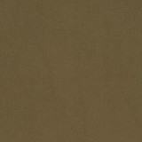 Allante Touch Kelp by Morbern Fabric See sample 100% Vinyl 100000 Horizontal: Not Applicable and Vertical: Not Applicable 54" - Fabric Carolina -