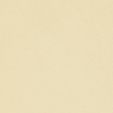 Allante Touch Chamois by Morbern Fabric See sample 100% Vinyl 100000 Horizontal: Not Applicable and Vertical: Not Applicable 54" - Fabric Carolina -