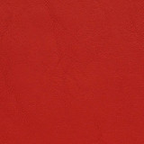 Allante Touch Thunderbird by Morbern Fabric See sample 100% Vinyl 100000 Horizontal: Not Applicable and Vertical: Not Applicable 54" - Fabric Carolina -