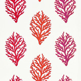 Coral Reef Embroidery/Passion Fruit 27204-001 by Grey Watkins Fabric SCALAMANDRE WAREHOUSE 12% POLYESTER|35% COTTON 35% LINEN 18% VISCOSE INDIA LIGHT DUTY Horizontal: 14" and Vertical: 52" 52" - Fabric Carolina -