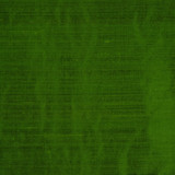 RM DUPIONI PARROT by RM CoCo Fabric