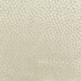 Address 1 Dove by Stout Fabric COMFORTABLE LIVING SMOKE/PEWTER 100%POL CHINA CATB 117-2013 WYZENBEEK 60 000 DOUBLE RUB WEAR TEST (HEAVY DUTY) </p><p>Repeat: 3.375 55 in - Fabric Carolina -