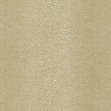 Ernest 3 Sand by Stout Fabric RAINBOW LIBRARY PEARL/PARCHMENT 51%POL 49%SVI USA FLAME RETARDANT-U.F.A.C. CLASS 1 WYZENBEEK 35 000 DOUBLE RUB WEAR TEST (HEAVY DUTY) </p><p>Repeat: 3.375 54 in - Fabric Carolina -