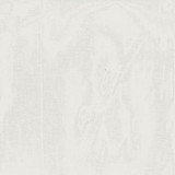 Jupiter Cream by Norbar Fabric See Sample 100% POLYESTER TURKEY 130 - Fabric Carolina -