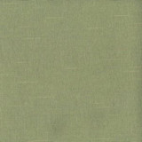 Noble Grass 50 by Norbar Fabric See Sample 100% POLYESTER TAIWAN 20,000 WYZENBEEK 54 - Fabric Carolina -