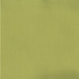 Pablo Peat Moss 245 by Norbar Fabric See Sample 100% COTTON TURKMANISTAN 30,000 WYZENBEEK 54" - Fabric Carolina -