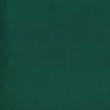 Parma Evergreen 207 by Norbar Fabric See Sample 100% COTTON USA 30,000 WYZENBEEK 54 - Fabric Carolina -
