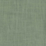 Planet Seagreen by Norbar Fabric See Sample 79% COTTON 21% POLYESTER INDIA 80,000 WYZENBEEK 55 - Fabric Carolina -