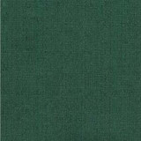 Rollins Spruce by Norbar Fabric See Sample 66% COTTON 34% POLYESTER 25,000 WYZENBEEK 54" - Fabric Carolina -