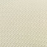 Titan Ivory by Norbar Fabric See Sample 100% POLYESTER CHINA 15,000 WYZENBEEK 55" - Fabric Carolina -