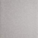 Hexagon Mercury by Clarke And Clarke Wallcovering CLARKE & CLARKE REFLECTIONS WOOD PULP - 74%;BINDER - 13%;POLYESTER - 13% United Kingdom - Horizontal: 20.875 and Vertical: 0 20.875 - Fabric Carolina -