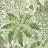 Fern Leaf Green And Olive by Cole & Son Wallcovering COLE & SON BOTANICAL BOTANICA PAPER - 100% United Kingdom - Horizontal: - and Vertical: 25.2 20.5 - Fabric Carolina -