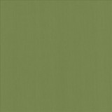 Perception Grass  by Kasmir Fabric See sample 100% Cotton
 INDIA 21,000 Wyzenbeek Double Rubs </p><p>Repeat: Horizontal: N/A and Vertical: N/A 54  - Fabric Carolina -