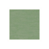 Amalfi Palm by Clarke And Clarke Fabric CLARKE & CLARKE AMALFI COTTON - 77%;POLYESTER - 23% India HEAVY Horizontal: 0 and Vertical: 0 54 - Fabric Carolina -