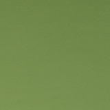 Spectrum Oregano by Clarke And Clarke Fabric CLARKE & CLARKE SPECTRUM POLYESTER - 54%;COTTON - 46% India HEAVY Horizontal: - and Vertical: - 54 - Fabric Carolina -