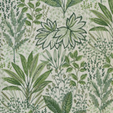 Amazonia Emb Fern 408770 by PKL Studio Fabric - Base: 73% Polyester 27% Cotton Emb: 100% Rayon India 46000 Horizontal: 26 and Vertical: 18 Base: 54" Emb: 52" - Fabric Carolina -