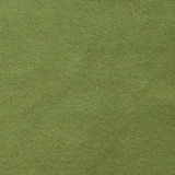 Plush 15 by Europatex Fabric Plush 100% Polyester 0.00" 55.00 inches - Fabric Carolina -