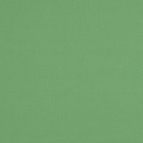 Elliott Brushed Cotton Basil 69544 by Schumacher Fabric PERFECT BASICS: ELLIOTT COTTON 100% INDIA MARTINDALE 20,000 </p><p>Repeat: Horizontal: and Vertical: 55.875 - Fabric Carolina -