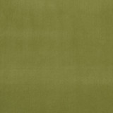 Alvar Leaf by Clarke And Clarke Fabric CLARKE & CLARKE ALVAR 2 POLYESTER - 100% China HEAVY Horizontal: 0 and Vertical: 0 56.75 - Fabric Carolina -