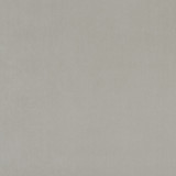 Alvar Roebuck by Clarke And Clarke Fabric CLARKE & CLARKE ALVAR 2 POLYESTER - 100% China HEAVY Horizontal: 0 and Vertical: 0 56.75 - Fabric Carolina -